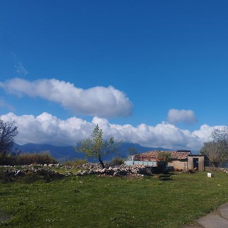 Sofias Cottage Ελληνικό Εξωτερικό φωτογραφία