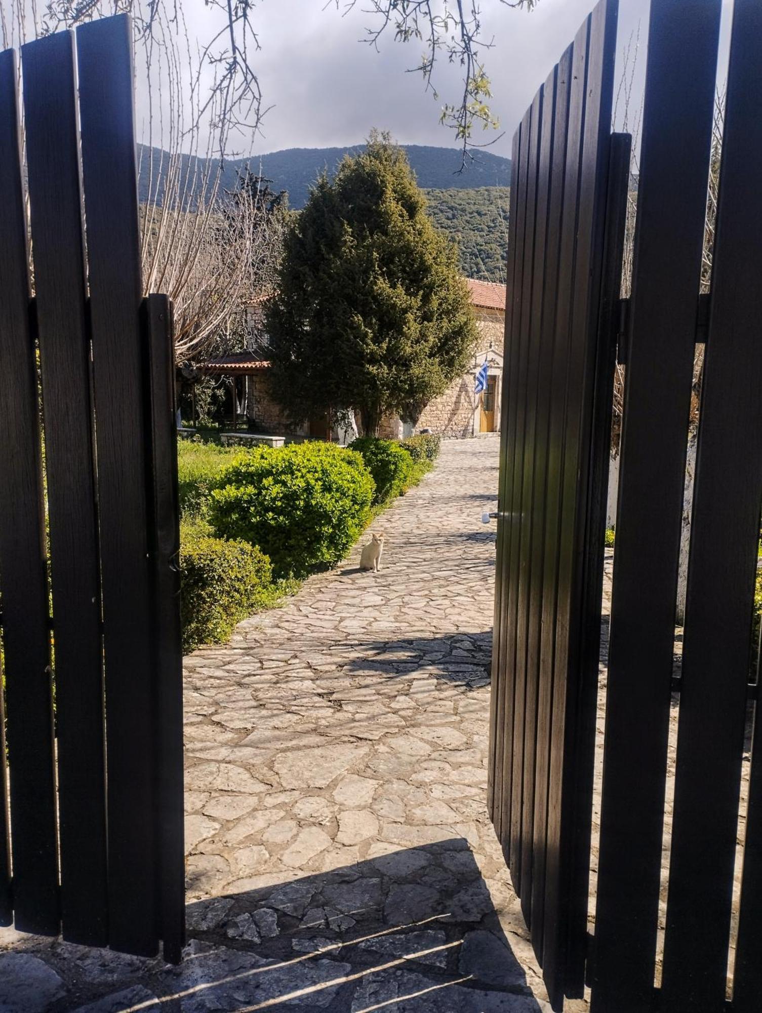 Sofias Cottage Ελληνικό Εξωτερικό φωτογραφία