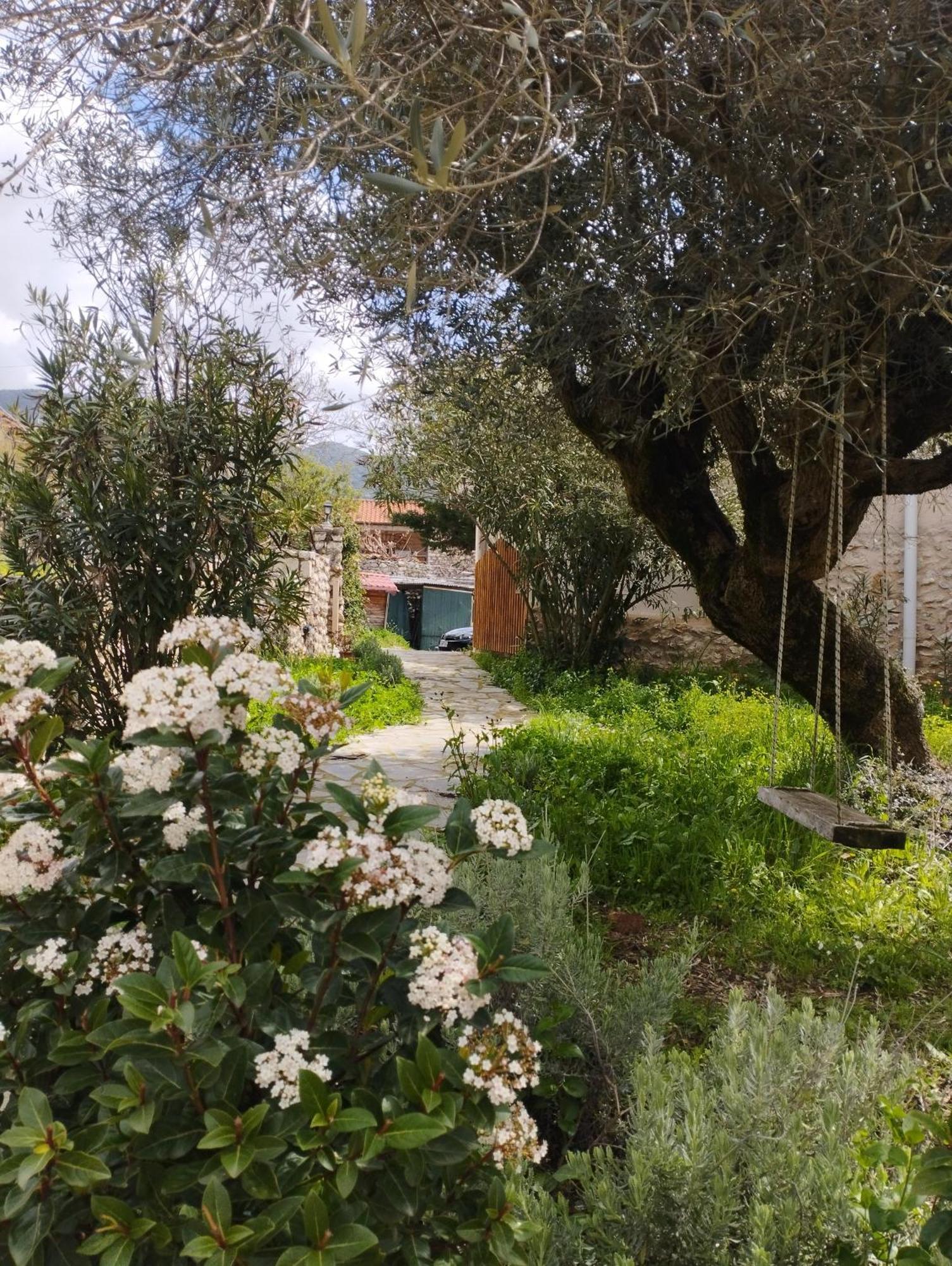 Sofias Cottage Ελληνικό Εξωτερικό φωτογραφία