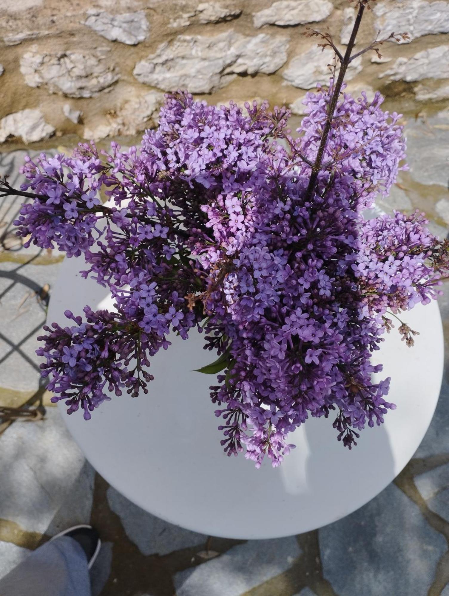 Sofias Cottage Ελληνικό Εξωτερικό φωτογραφία