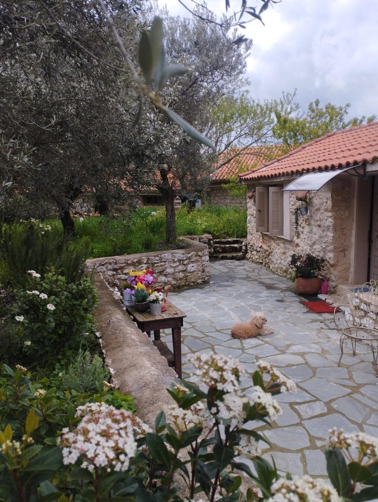 Sofias Cottage Ελληνικό Εξωτερικό φωτογραφία